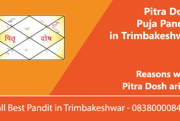 Pitra Dosh Puja Pandit in Trimbakeshwar