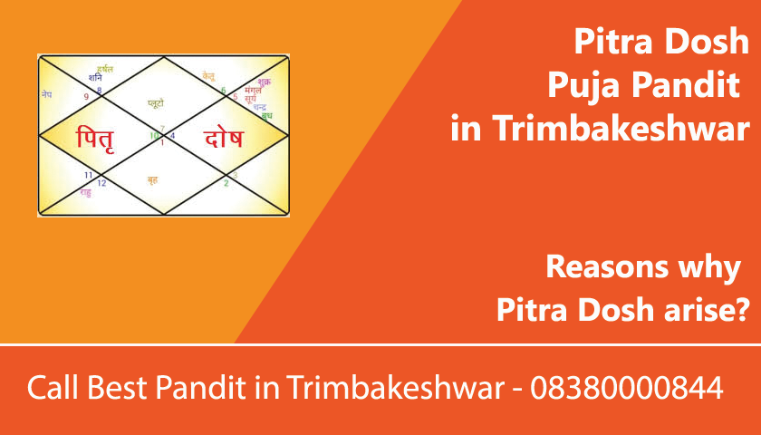 Pitra Dosh Puja Pandit in Trimbakeshwar