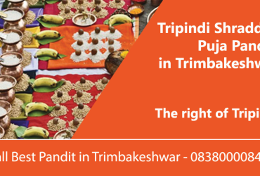 Tripindi Shraddha Puja Pandit in Trimbakeshwar